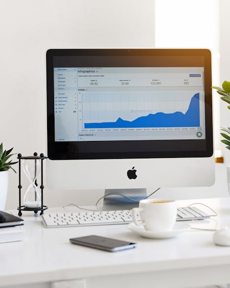 PPC Optimization Service